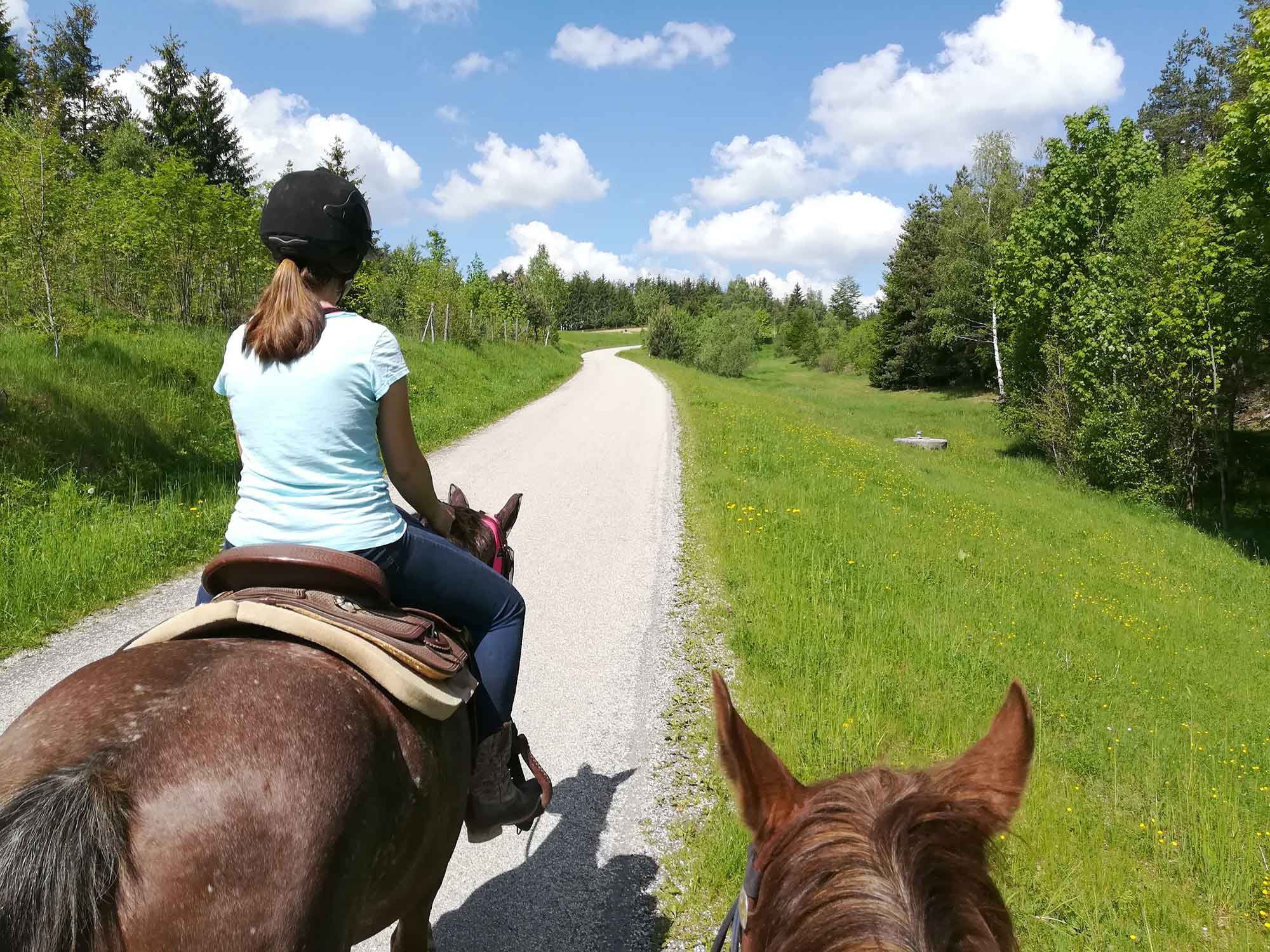 Wanderreiten, Pferdehof Kurzmann