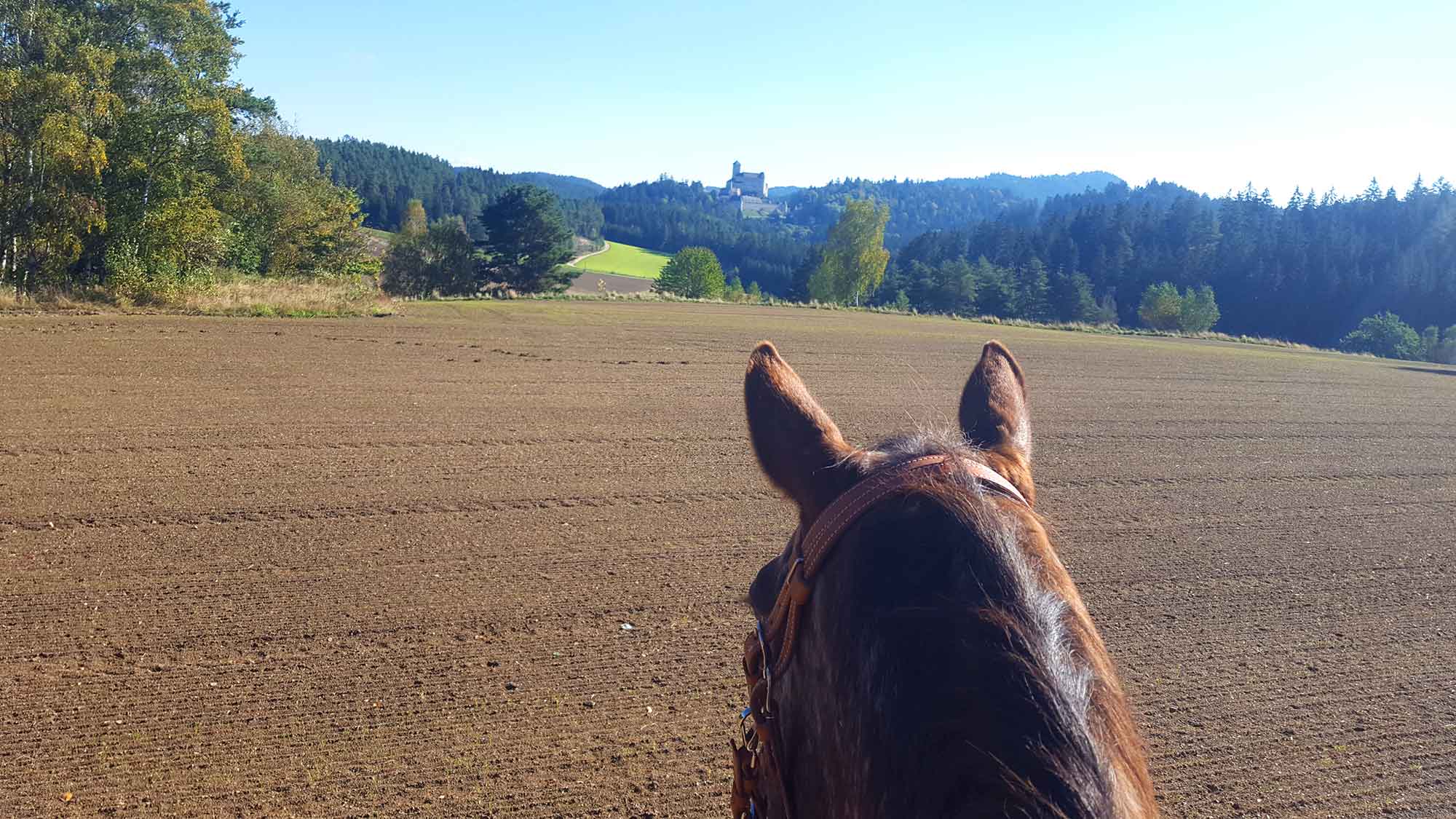 Tara vor Burg Rappottenstein